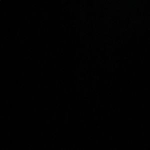 Meet your Posher, Braxton